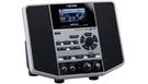 BOSS JS-10 eBand