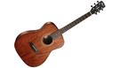 CORT Standard AF510M Mahogany Open Pore + bag