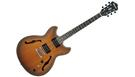IBANEZ AS53 TF Tobacco Flat