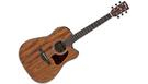 IBANEZ AW54CE OPN Open Pore Natural