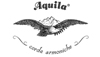 Aquila