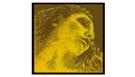PIRASTRO Evah Pirazzi Gold Violin Strings 4/4