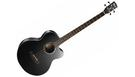 CORT Acoustic Bass AB850F Black + Bag
