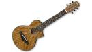 IBANEZ EWP14WB Open Pore Natural