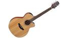 TAKAMINE GN20CE NS
