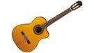 TAKAMINE GC5CE Natural