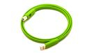 NEO OYAIDE D+ USB 2.0 Class B 2mt
