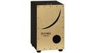 ROLAND EL Cajon EC-10