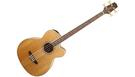 TAKAMINE GB72CE Natural