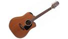 TAKAMINE GD11MCE NS