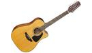 TAKAMINE GD30CE-12N Natural