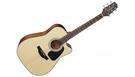 TAKAMINE GD30CE Natural