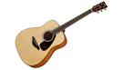 YAMAHA FG800M Natural
