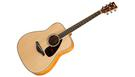 YAMAHA FG840 Natural