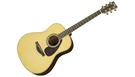 YAMAHA LL6 ARE Natural
